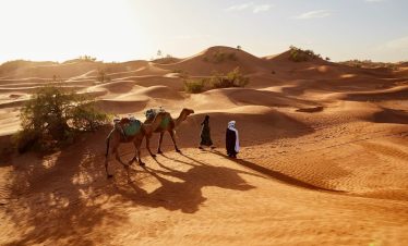 Dubai Red Dune Desert Safari